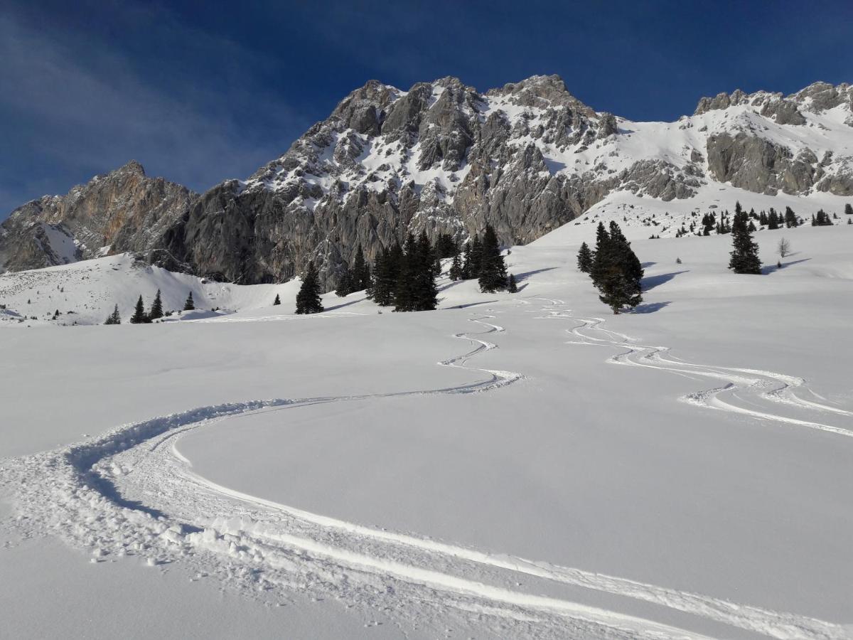 Appartement Gipfelblick- Tiroler Zugspitze Arena In ビーバーヴィアー エクステリア 写真