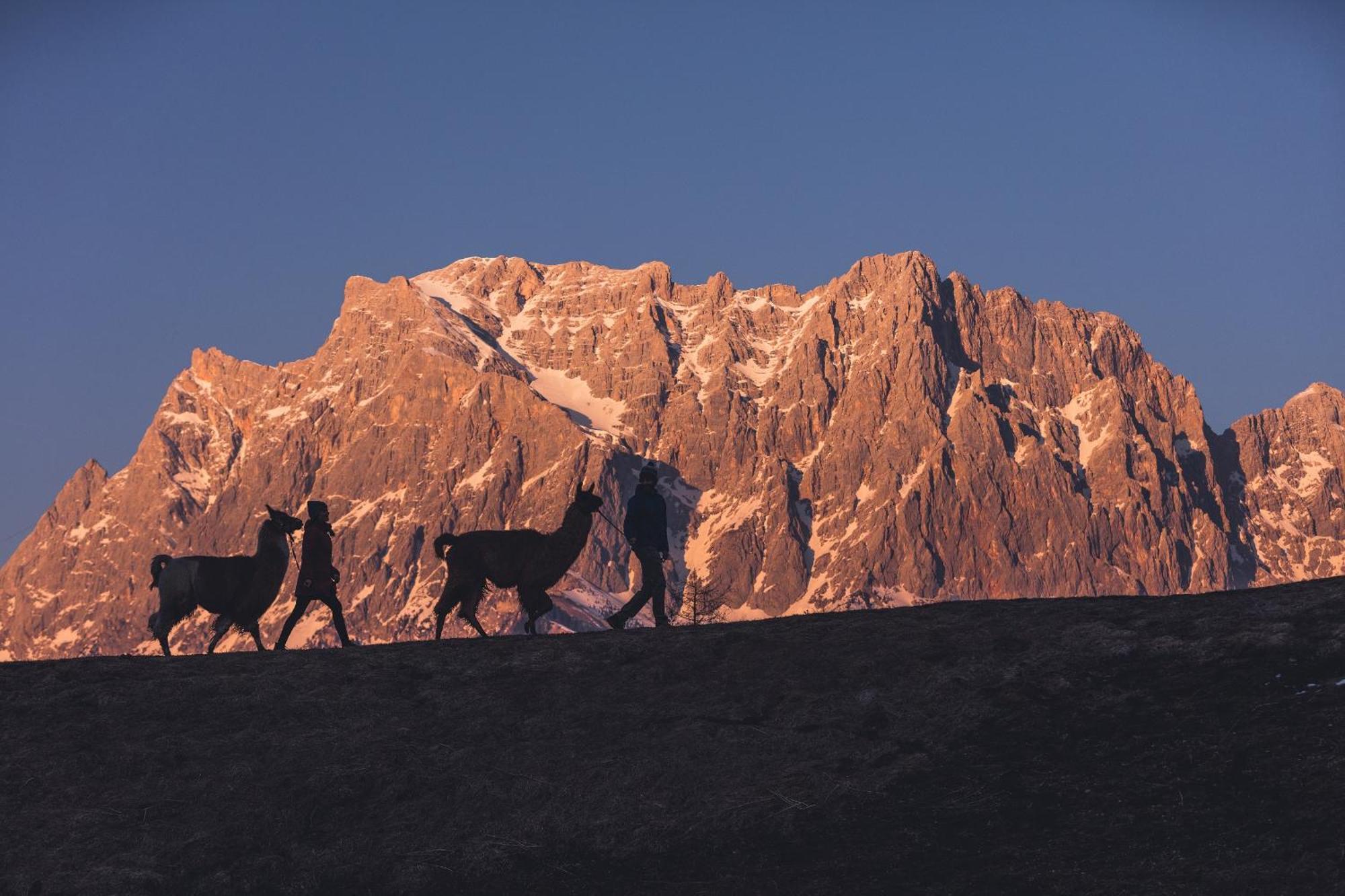 Appartement Gipfelblick- Tiroler Zugspitze Arena In ビーバーヴィアー エクステリア 写真